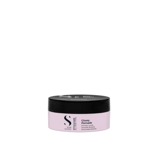 SDL STYLE&CARE GLOSSY POMADE 90ML