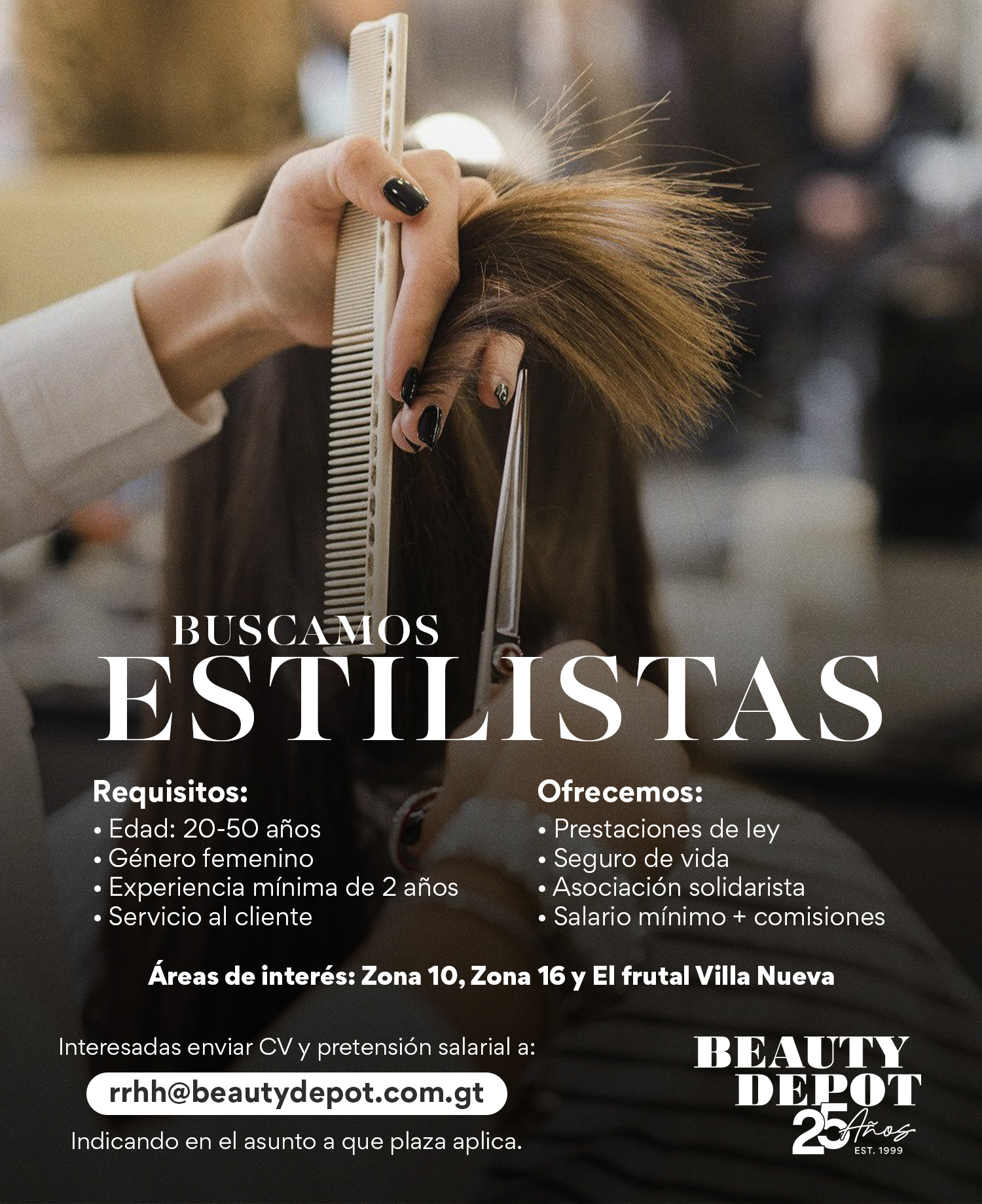 Estilista copia