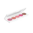 SIGNATURE PALETTE - BLUSH 5X 1.5G. 0.05OZ WT 7.5G 0.26OZ 1